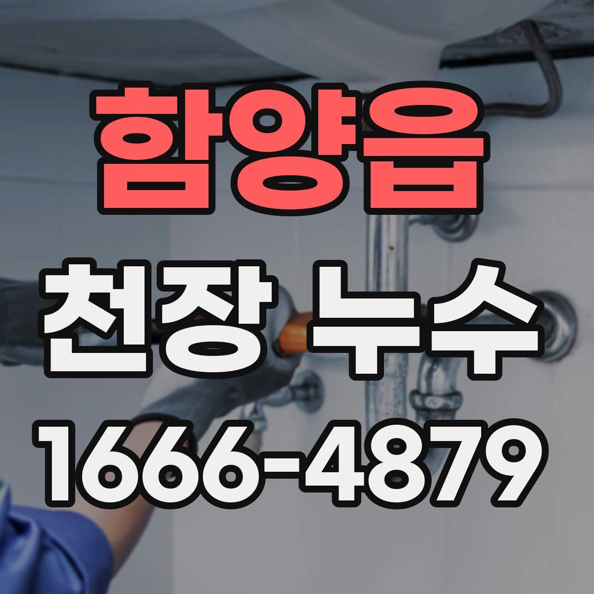 함양읍 천장 누수