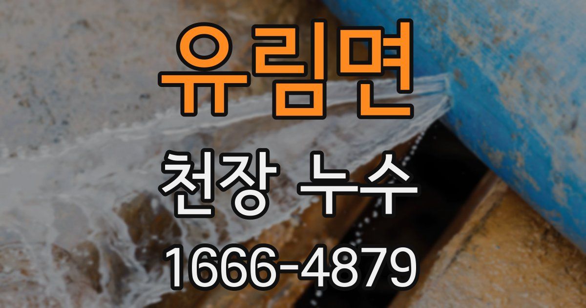 유림면 천장 누수