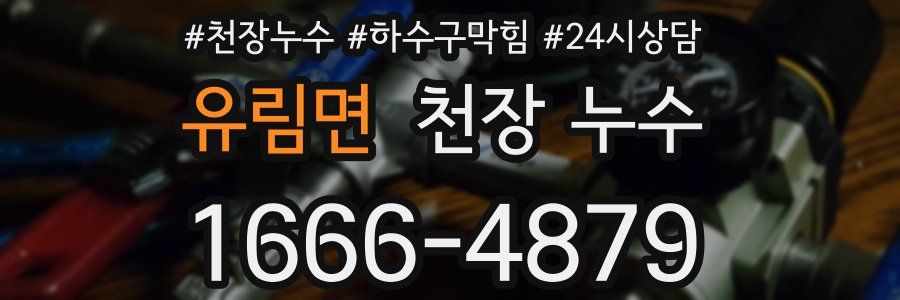 유림면 천장 누수