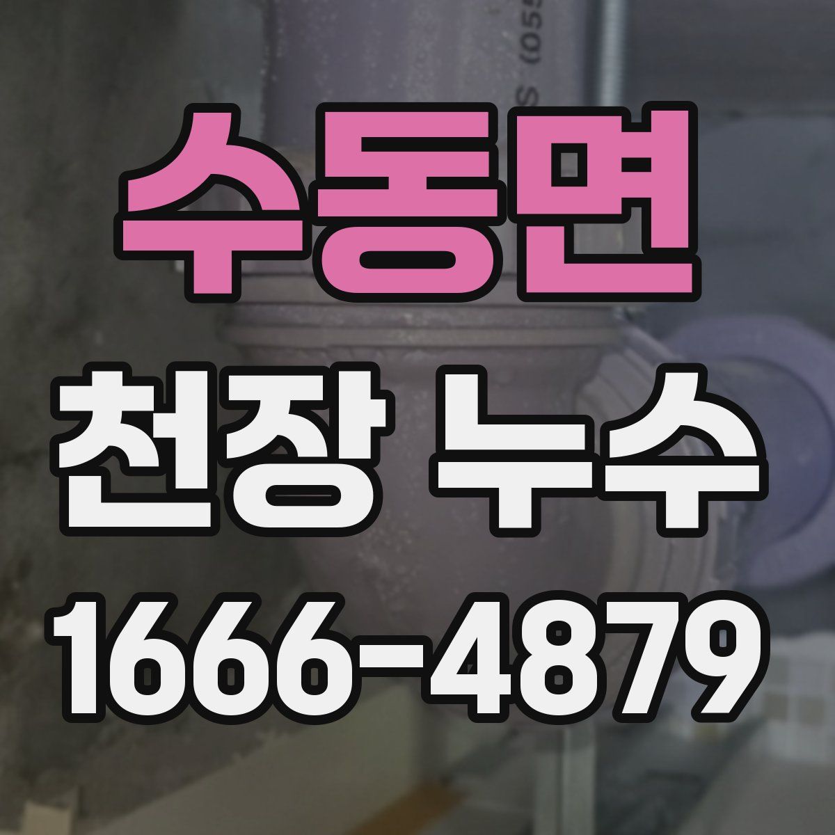 수동면 천장 누수