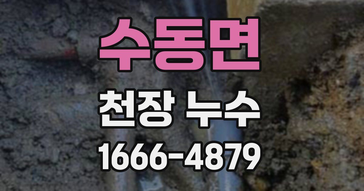 수동면 천장 누수