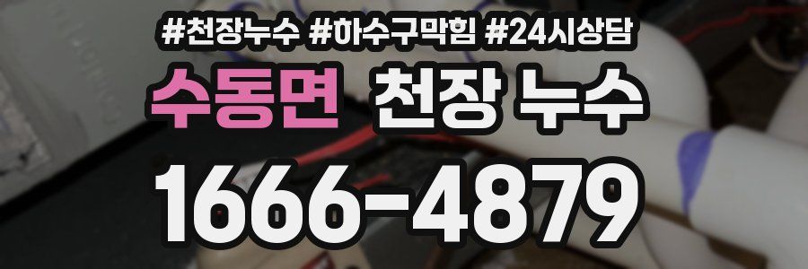 수동면 천장 누수