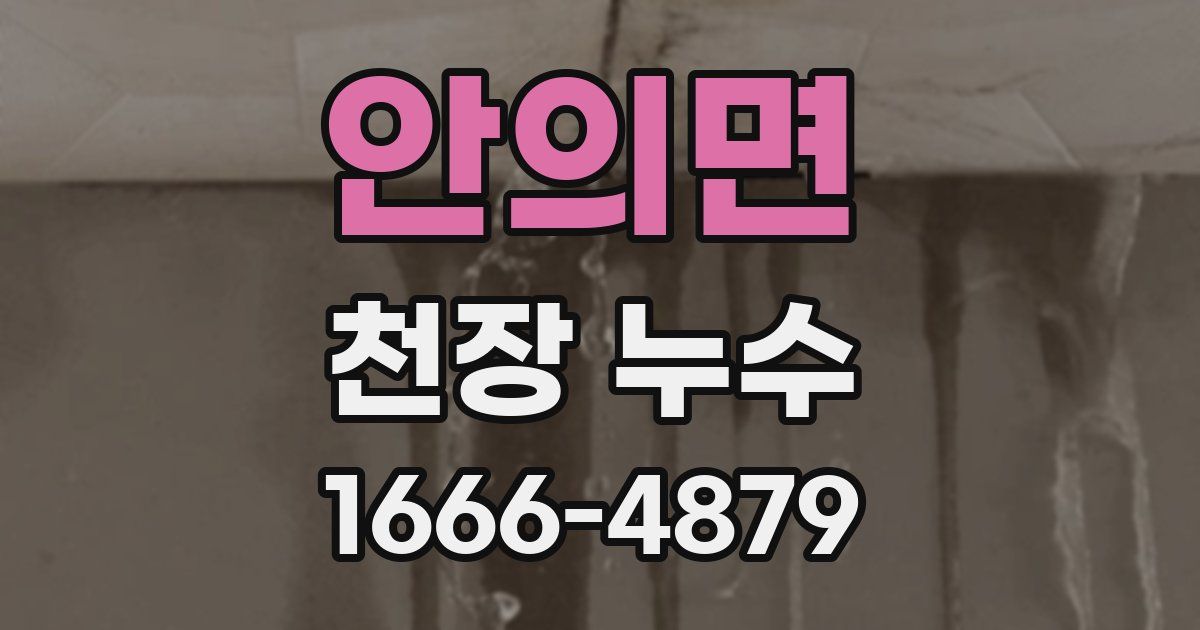 안의면 천장 누수