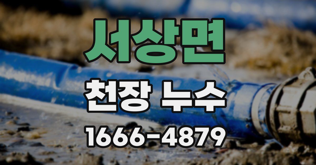 서상면 천장 누수