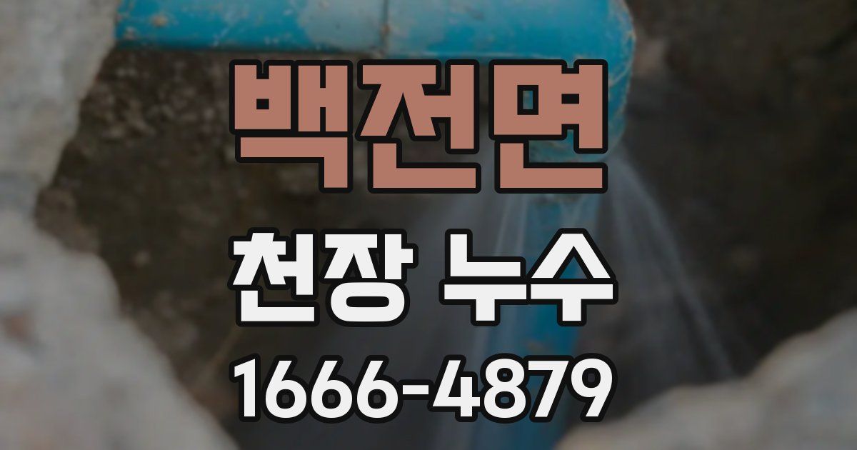 백전면 천장 누수