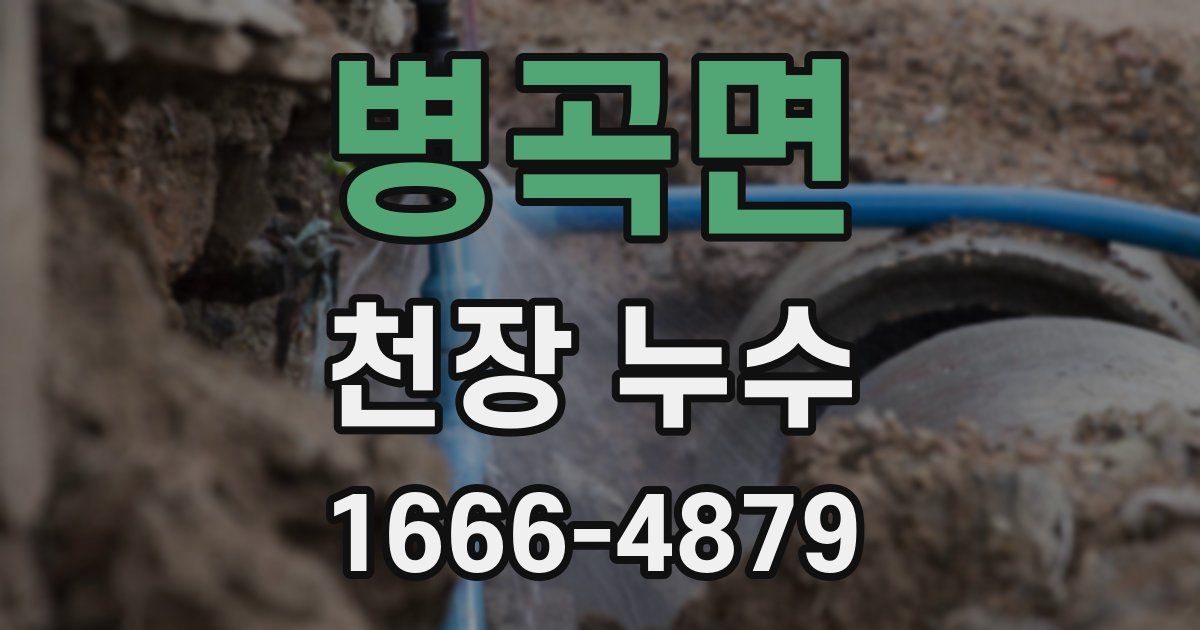 병곡면 천장 누수