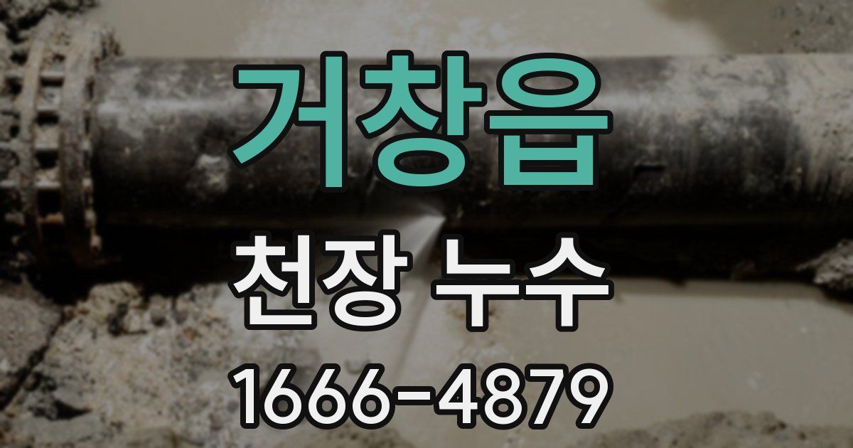 거창읍 천장 누수