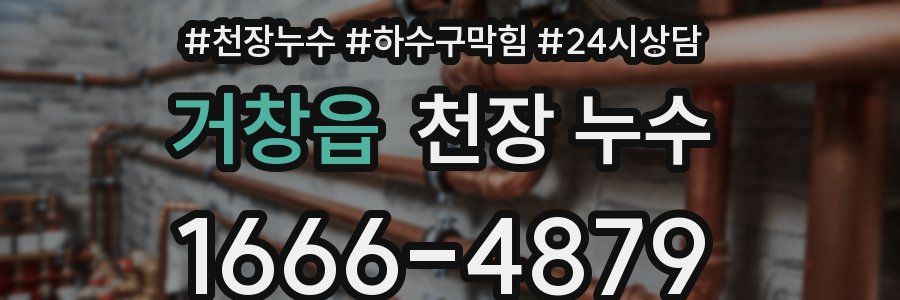 거창읍 천장 누수