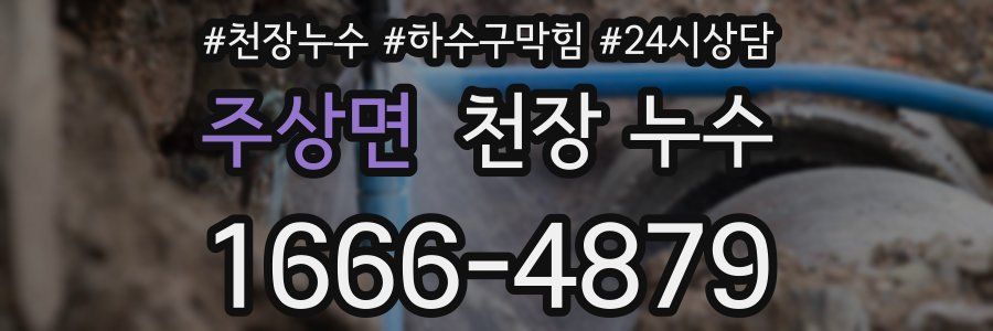 주상면 천장 누수