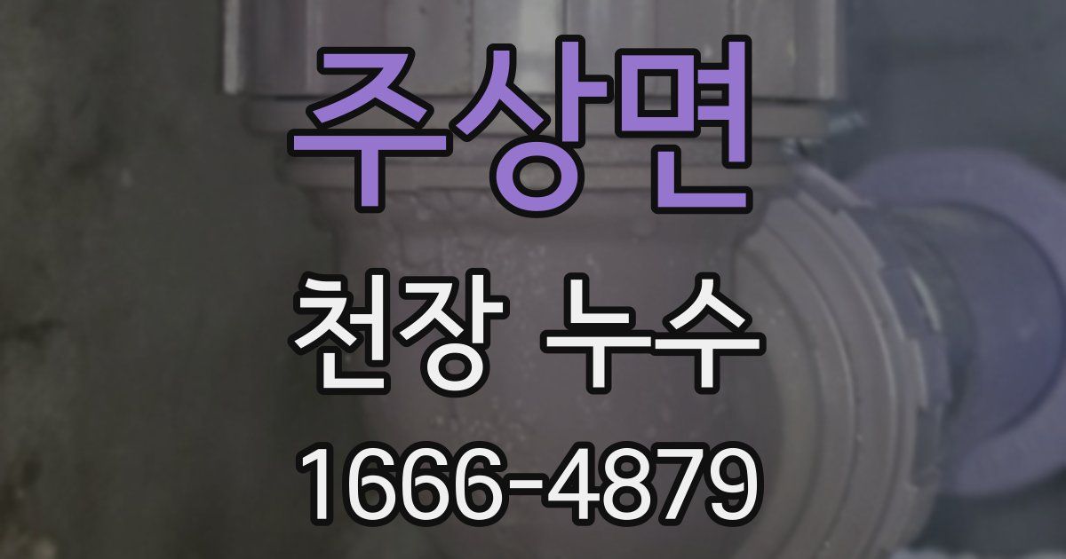 주상면 천장 누수