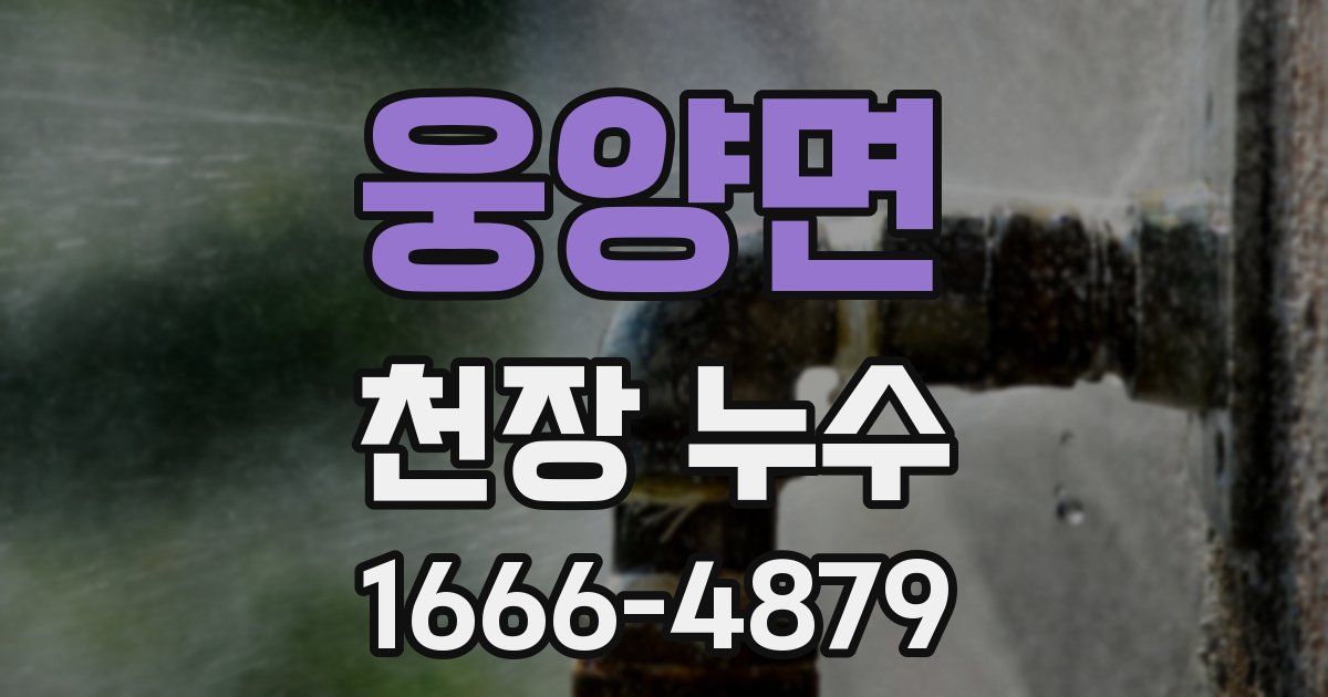 웅양면 천장 누수