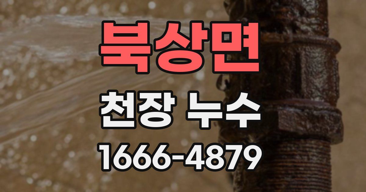 북상면 천장 누수