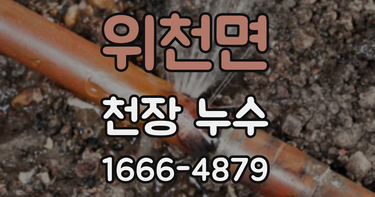 위천면 천장 누수