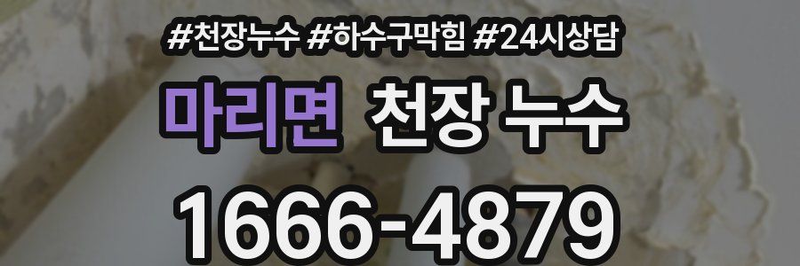 마리면 천장 누수