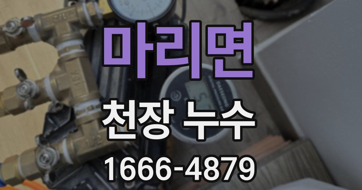 마리면 천장 누수