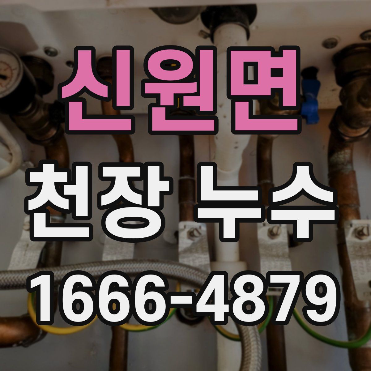 신원면 천장 누수