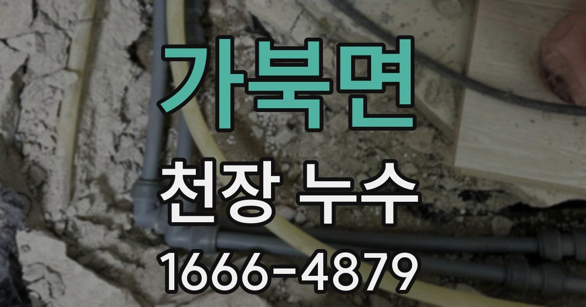 가북면 천장 누수