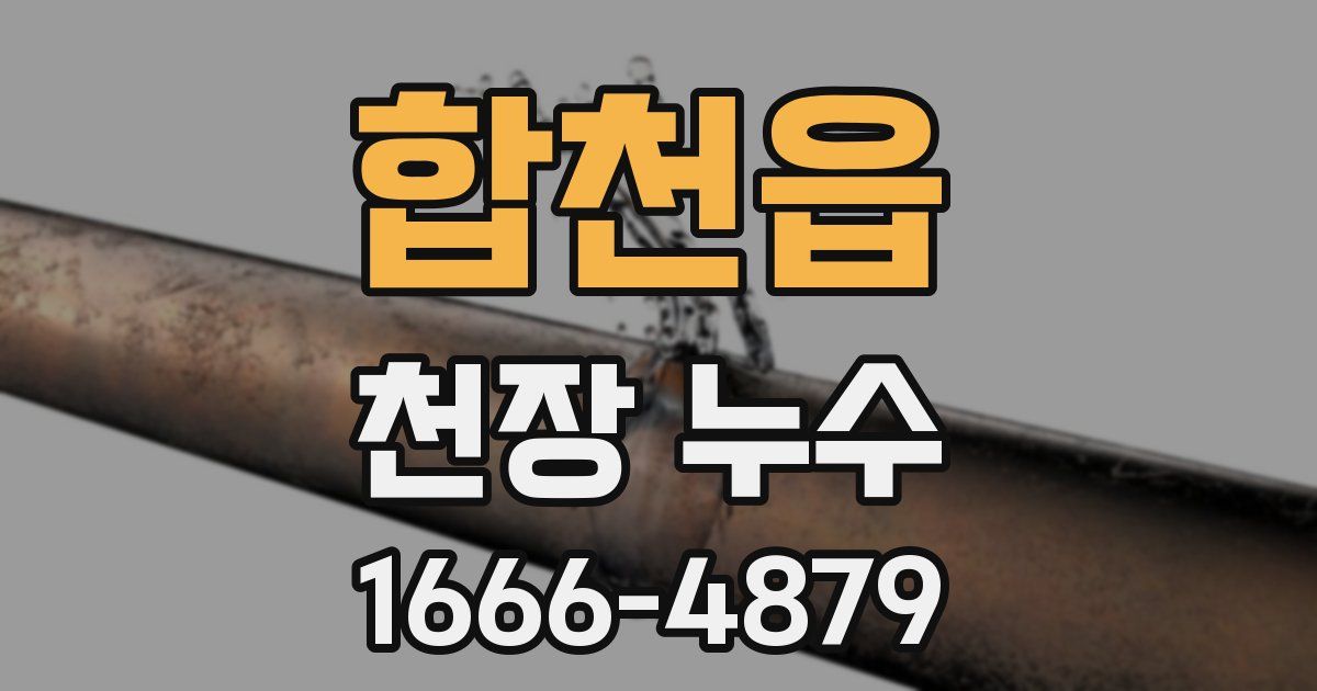 합천읍 천장 누수