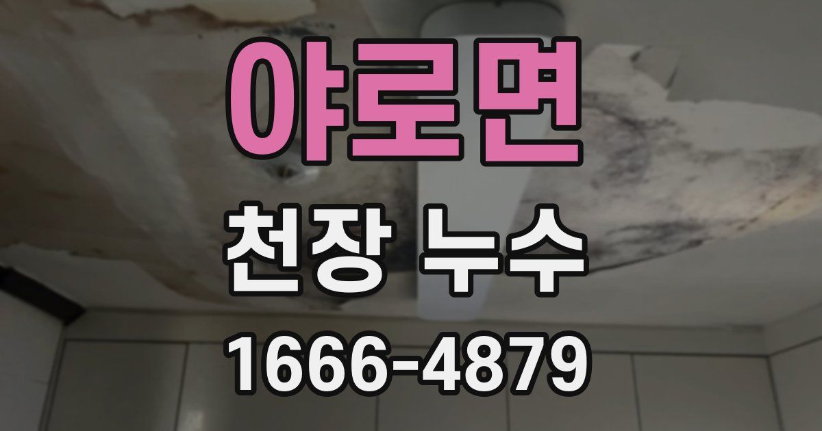 야로면 천장 누수