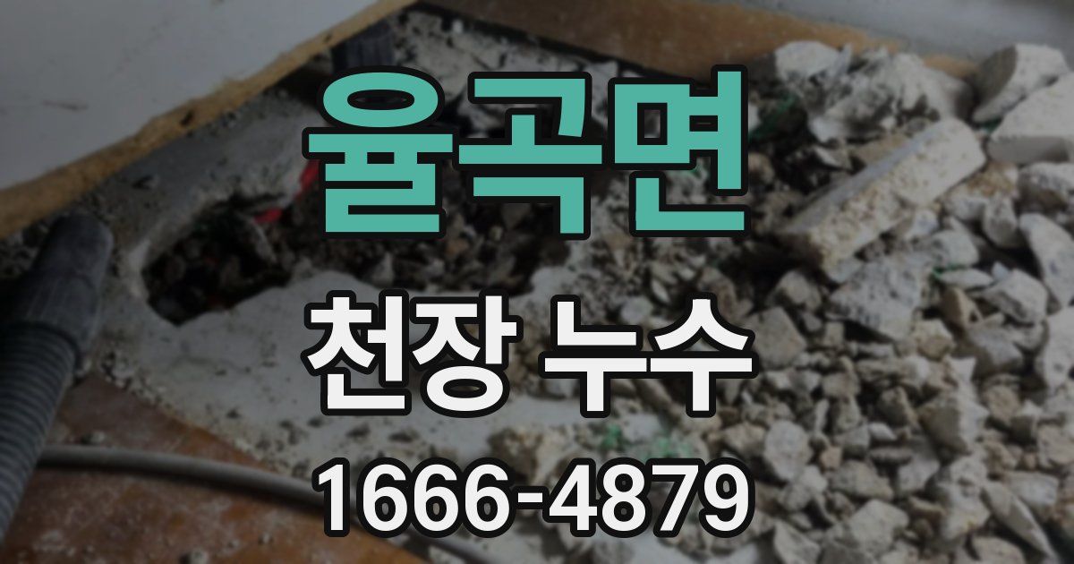 율곡면 천장 누수