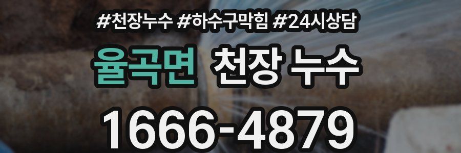 율곡면 천장 누수