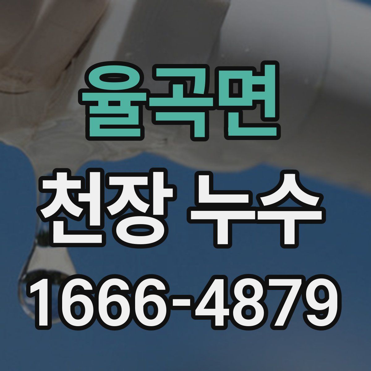 율곡면 천장 누수