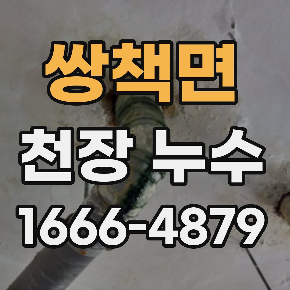 쌍책면 천장 누수