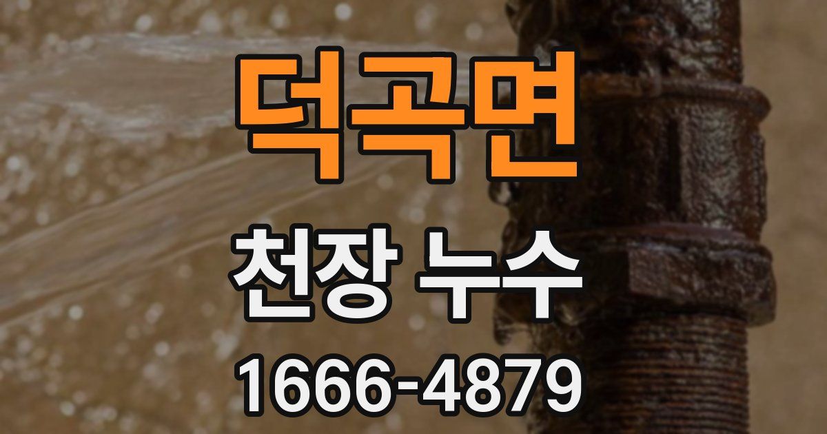 덕곡면 천장 누수