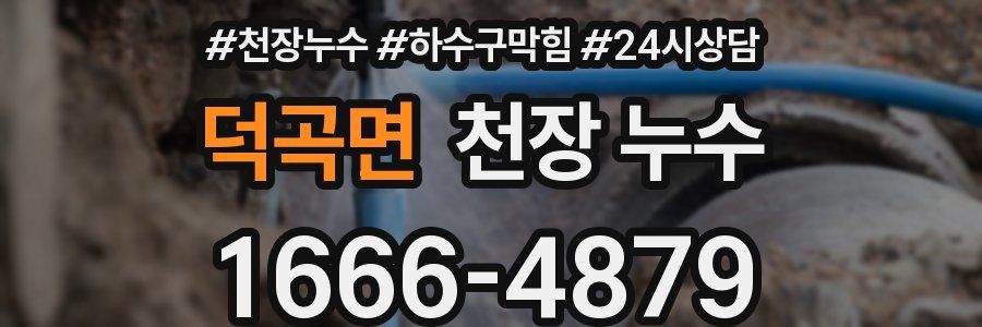 덕곡면 천장 누수