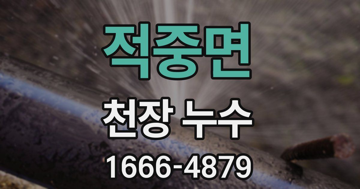 적중면 천장 누수