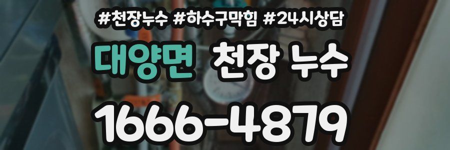 대양면 천장 누수