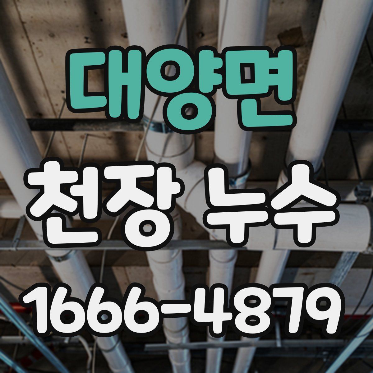 대양면 천장 누수