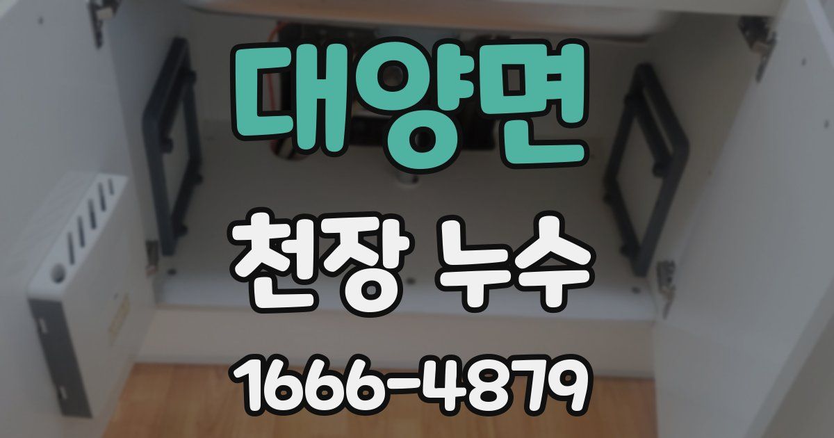 대양면 천장 누수