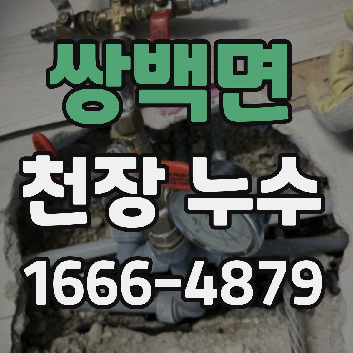 쌍백면 천장 누수