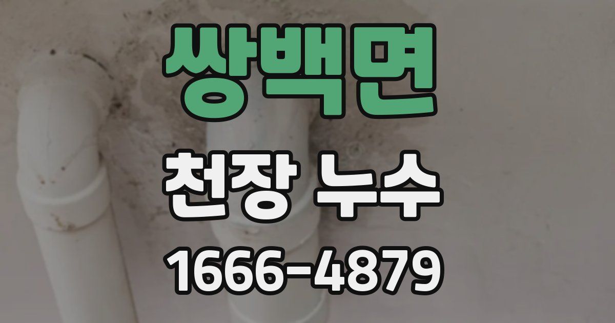 쌍백면 천장 누수