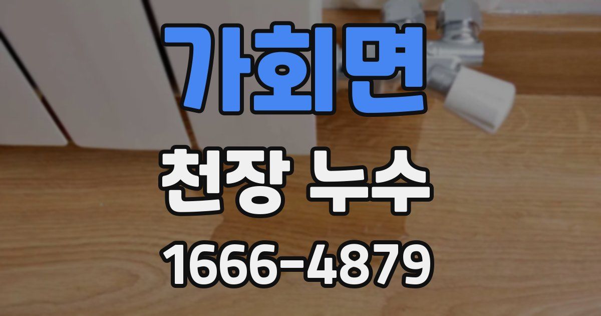 가회면 천장 누수