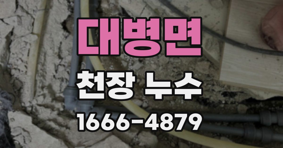 대병면 천장 누수