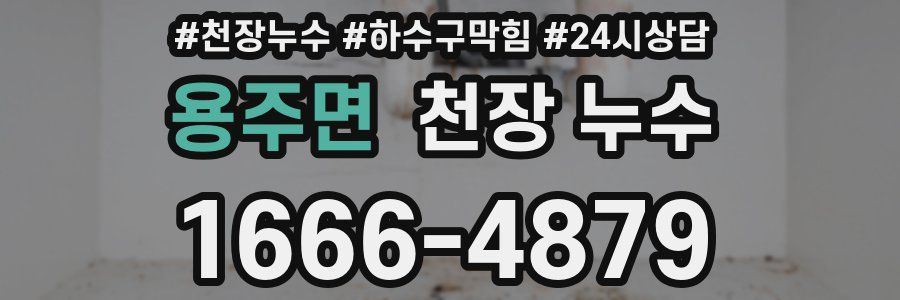 용주면 천장 누수