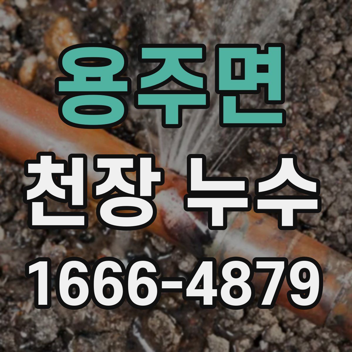 용주면 천장 누수