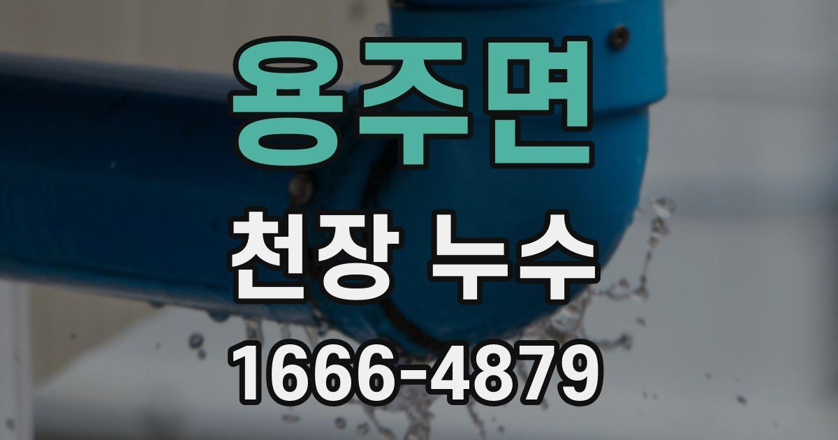 용주면 천장 누수