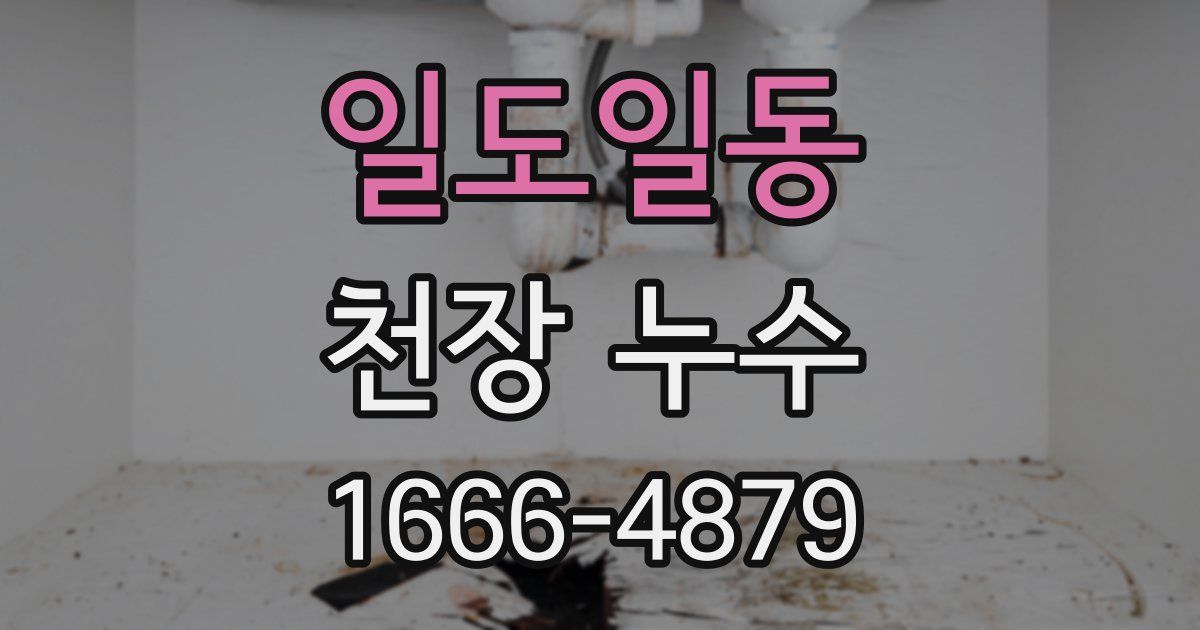 일도일동 천장 누수