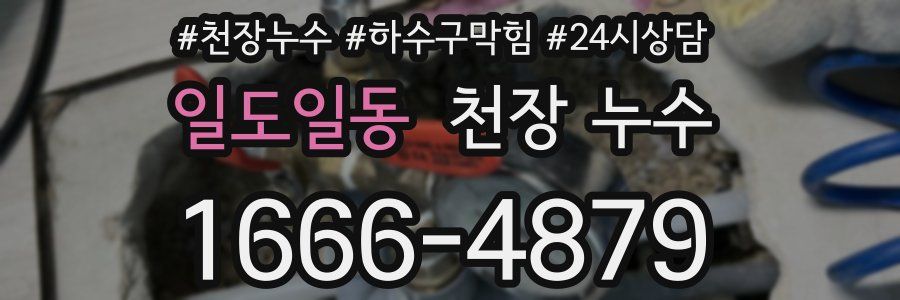 일도일동 천장 누수