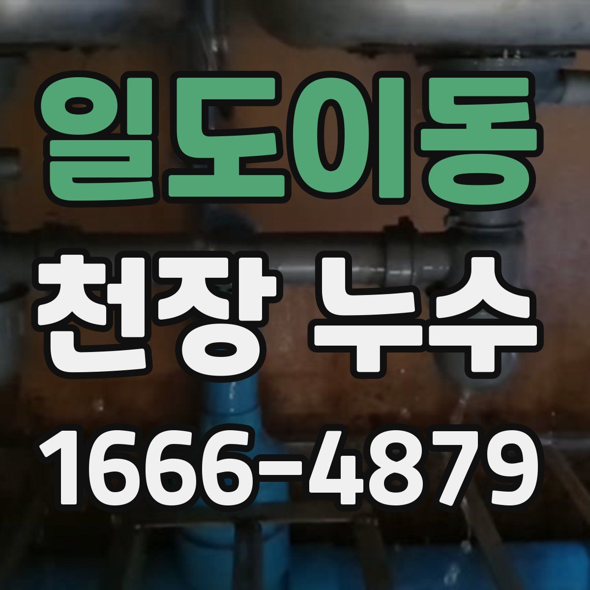 일도이동 천장 누수