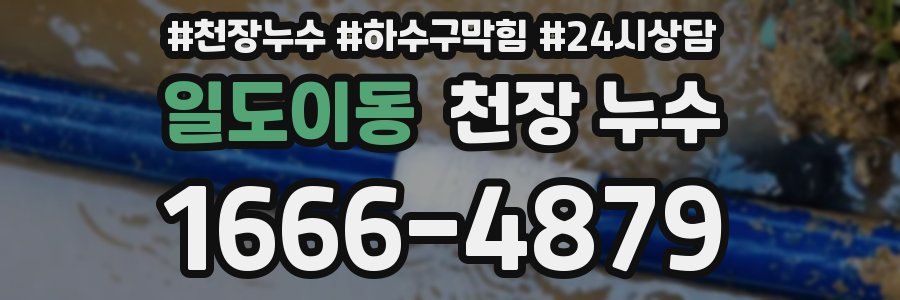 일도이동 천장 누수