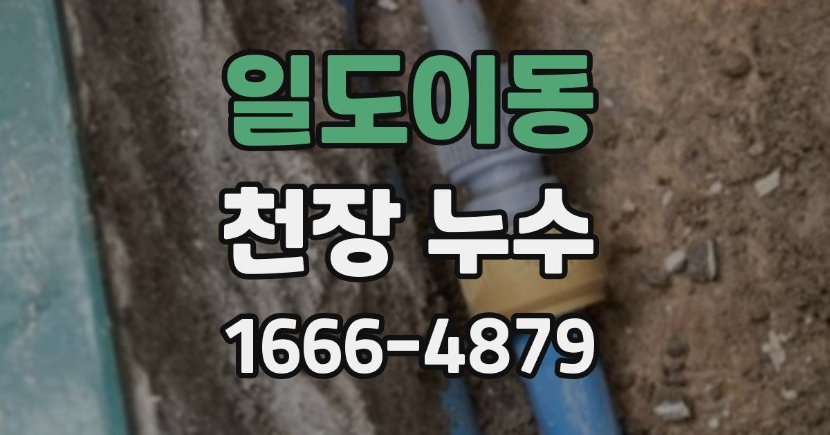 일도이동 천장 누수