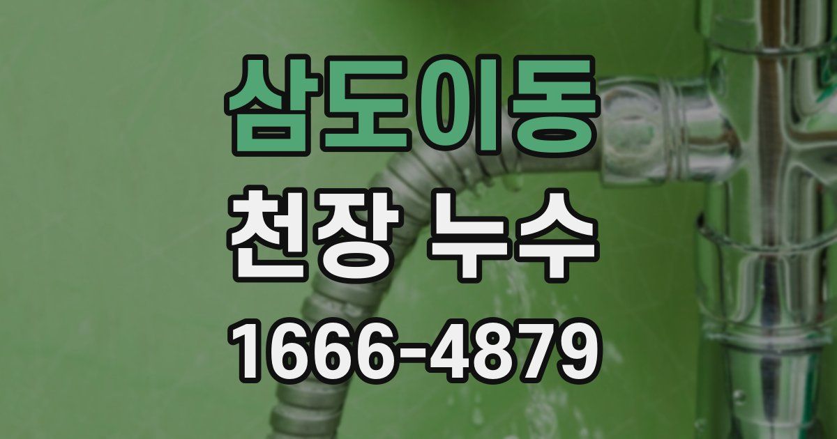 삼도이동 천장 누수