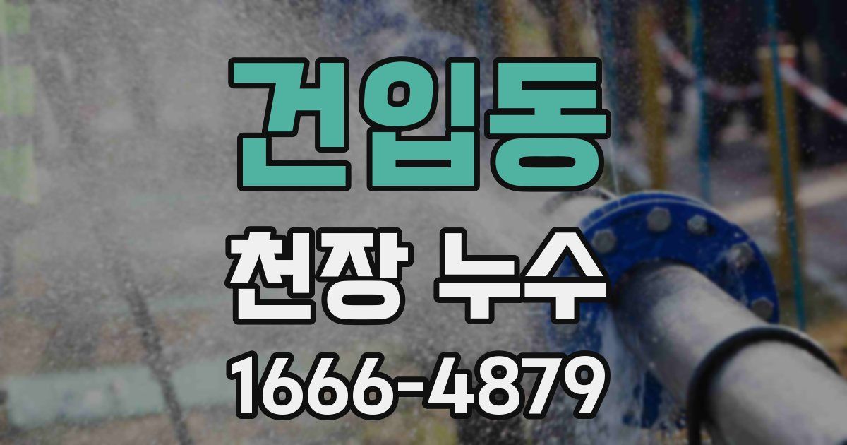 건입동 천장 누수