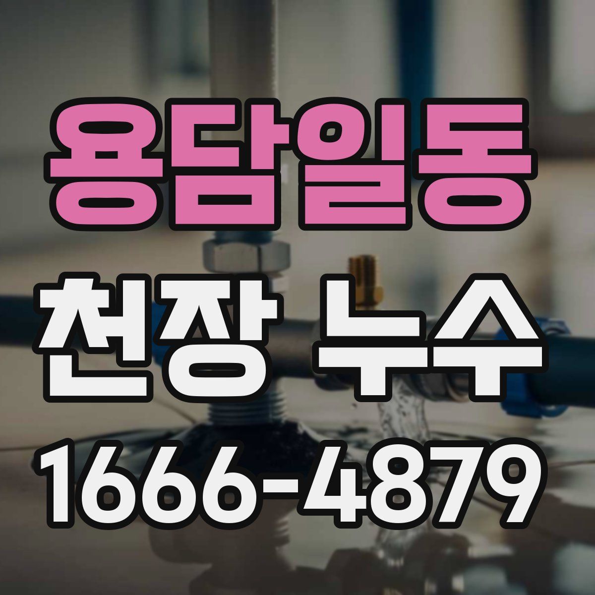 용담일동 천장 누수