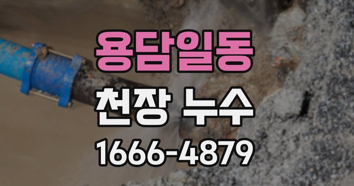 용담일동 천장 누수