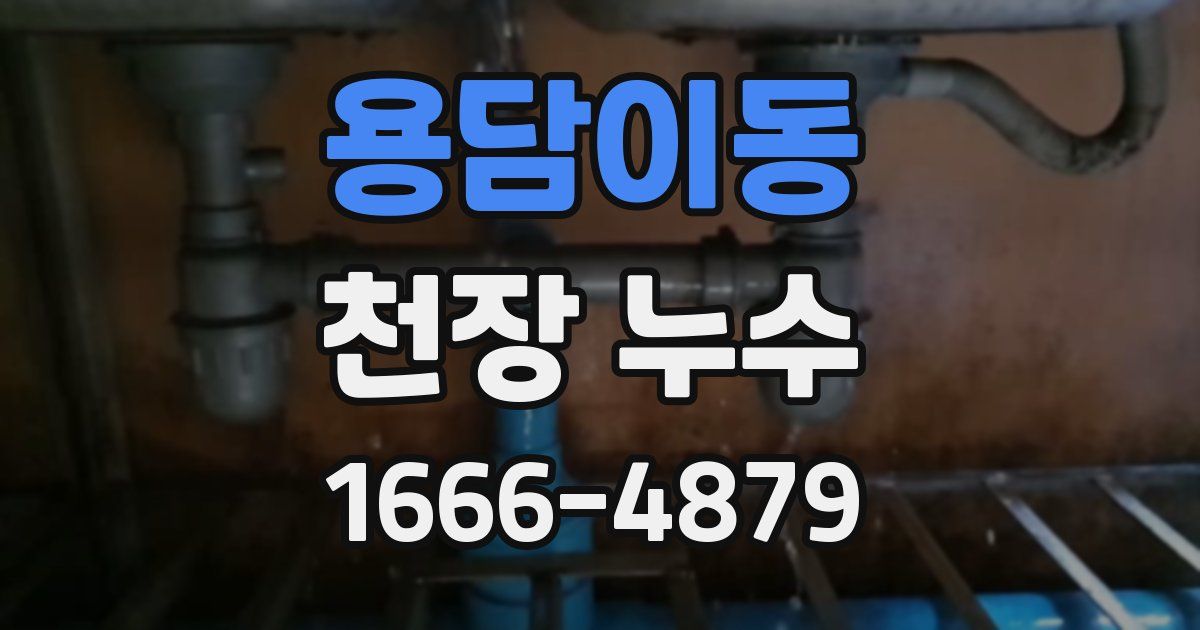 용담이동 천장 누수